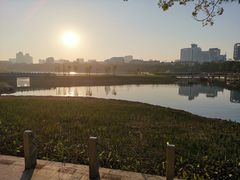 -南宁南湖公园