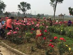 -武汉紫薇都市田园