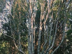 -北京宽沟会议中心