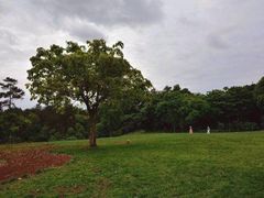 -保利石象湖景区