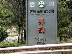-卧龙自然保护区