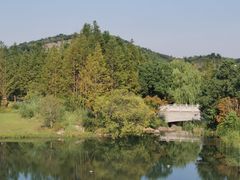 -雅达·阳羡溪山小镇中心