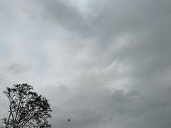 -深圳湾公园(南山区)