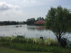 -上海长兴岛郊野公园