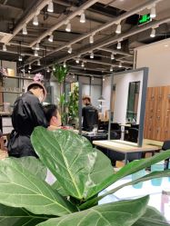-Mentor Hair Salon