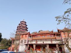 -铁山坪森林公园