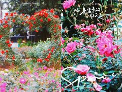 -人民公园(罗湖区)