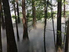 -东湖落雁景区