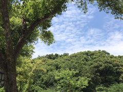-苏州上方山国家森林公园