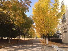 -江南大学(蠡湖校区)