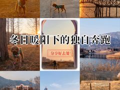 -威海大乳山景区