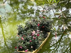 -人民公园(罗湖区)