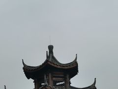 -黄埔油麻山森林公园