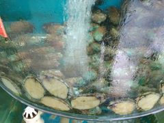 -聚德福海鲜家常菜(刘庄店)