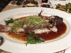 -8餐厅(新葡京酒店)