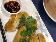 -金龙寨(龙城路店)