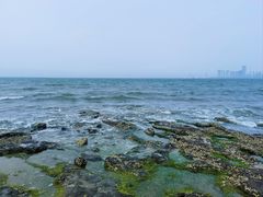 -西秀海滩公园