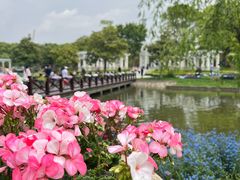 -上海鲜花港
