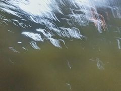 -碧海金沙