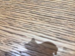 -吉之仙•中国制造•出口级食材日料店(领事馆总店)