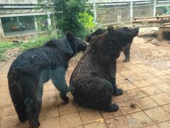-昆明动物园