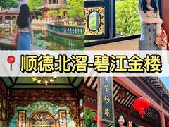 -碧江金楼