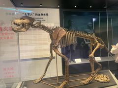 -北京周口店北京人遗址博物馆