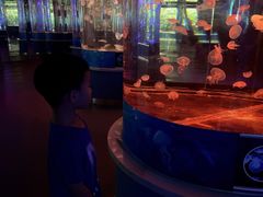 -石家庄海洋公园