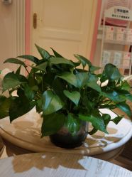 点击看大图 -北京俪婴妇产医院(朝阳大悦城店)