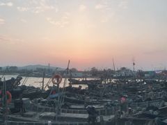-日照海滨国家森林公园