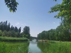 -大兴滨河森林公园