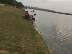 -丁香湖公园
