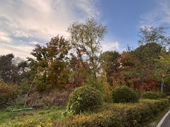 -长春市南湖公园