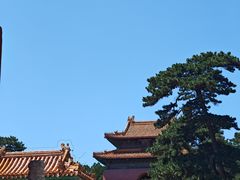 -清西陵