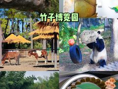 -中国大竹海景区
