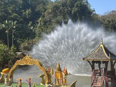 -西双版纳原始森林公园