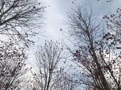 -云幽谷旅游区