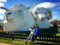 -怀托摩萤火虫洞