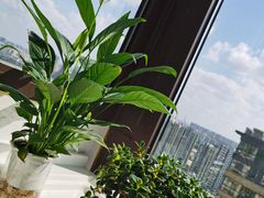 -N多寿司(印象汇店)