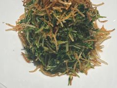 巧拌豆苗-四季民福烤鸭店(王府井灯市口店)