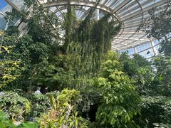 -昆明植物园