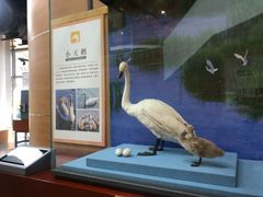 -漩门湾国家湿地公园