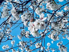 -龙美术馆西岸馆-停车场