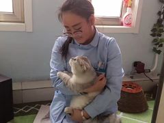 -纳吉亚猫专科动物医院博雅分院