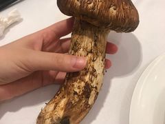 松茸-海都六福酒家(世博广场店)