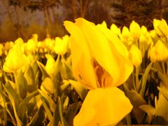 -长春公园(普阳街道)