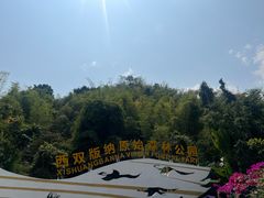 -西双版纳原始森林公园