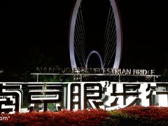 -南京眼步行桥