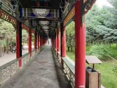 -兰山公园