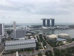 -新加坡瑞士史丹福酒店